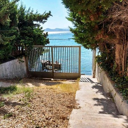 Paloma Dream Διαμέρισμα Μπένιντορμ Εξωτερικό φωτογραφία