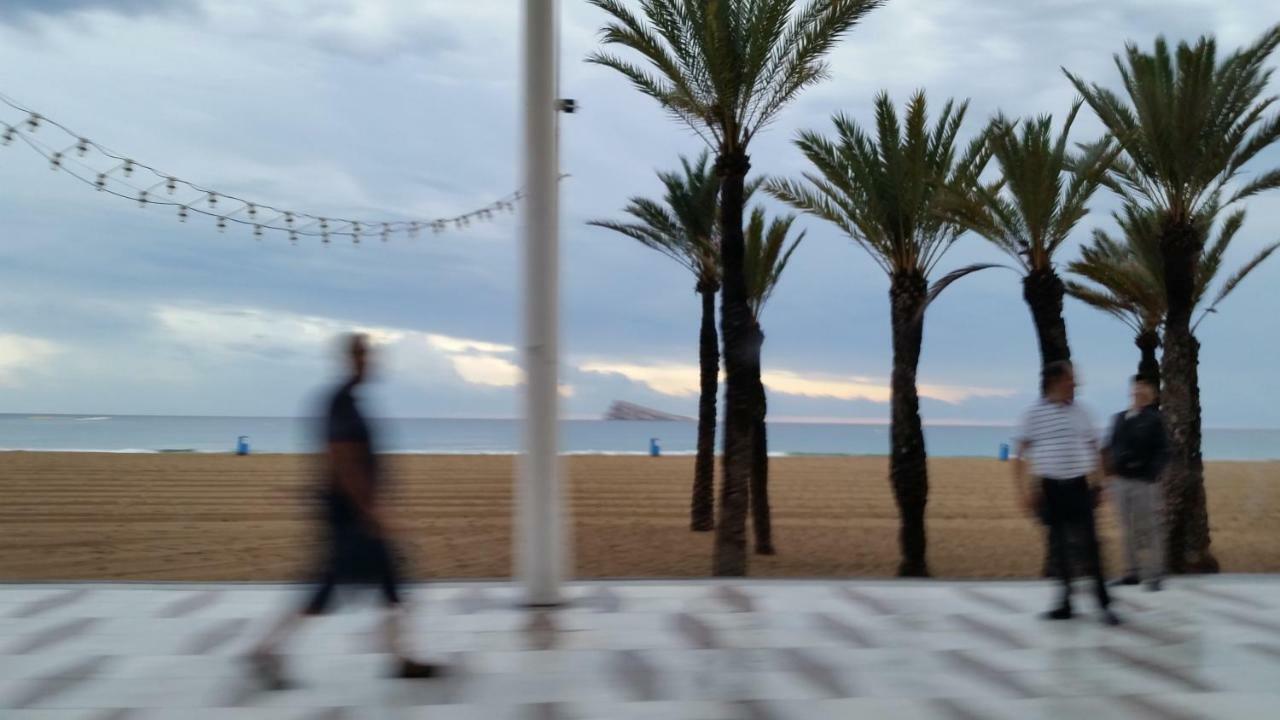 Paloma Dream Διαμέρισμα Μπένιντορμ Εξωτερικό φωτογραφία